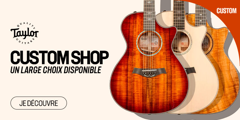 TAYLOR Custom Shop & Haut de Gamme : Push