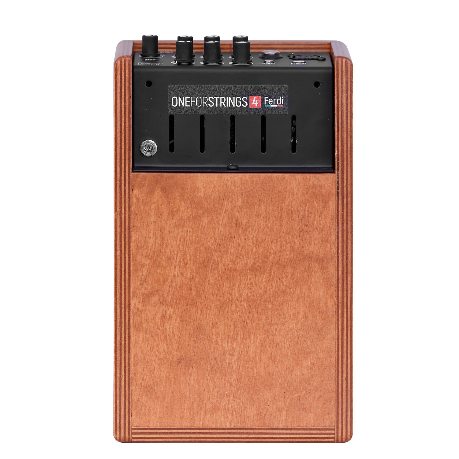 Acus One Forstrings 4ferdi Wood 40w - Combo Ampli Acoustique - Variation 2