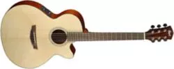 Cort SFX1F Shape cutaway body guitare acoustique/électrique