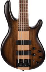 C5 Plus Artisan - Antique Brown Burst