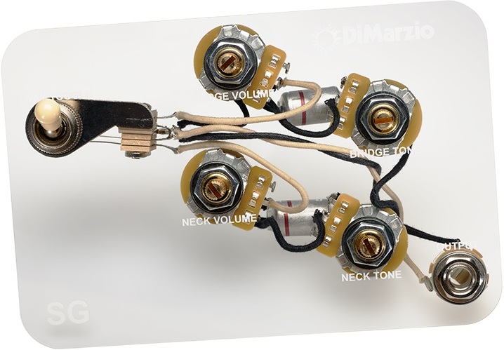 Dimarzio Gw2104 - PotentiomÈtre - Main picture