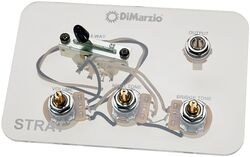 Potentiomètre  Dimarzio GW2114