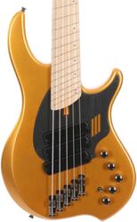 Basse électrique solid body Dingwall Adam Nolly Getgood NG3 3-Pickups 5-String (MN) - Gold Matte