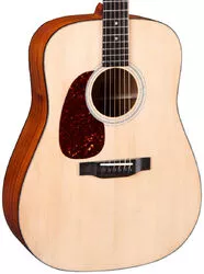 Eastman E1D