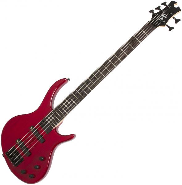 epiphone toby deluxe v 5 string bass guitar