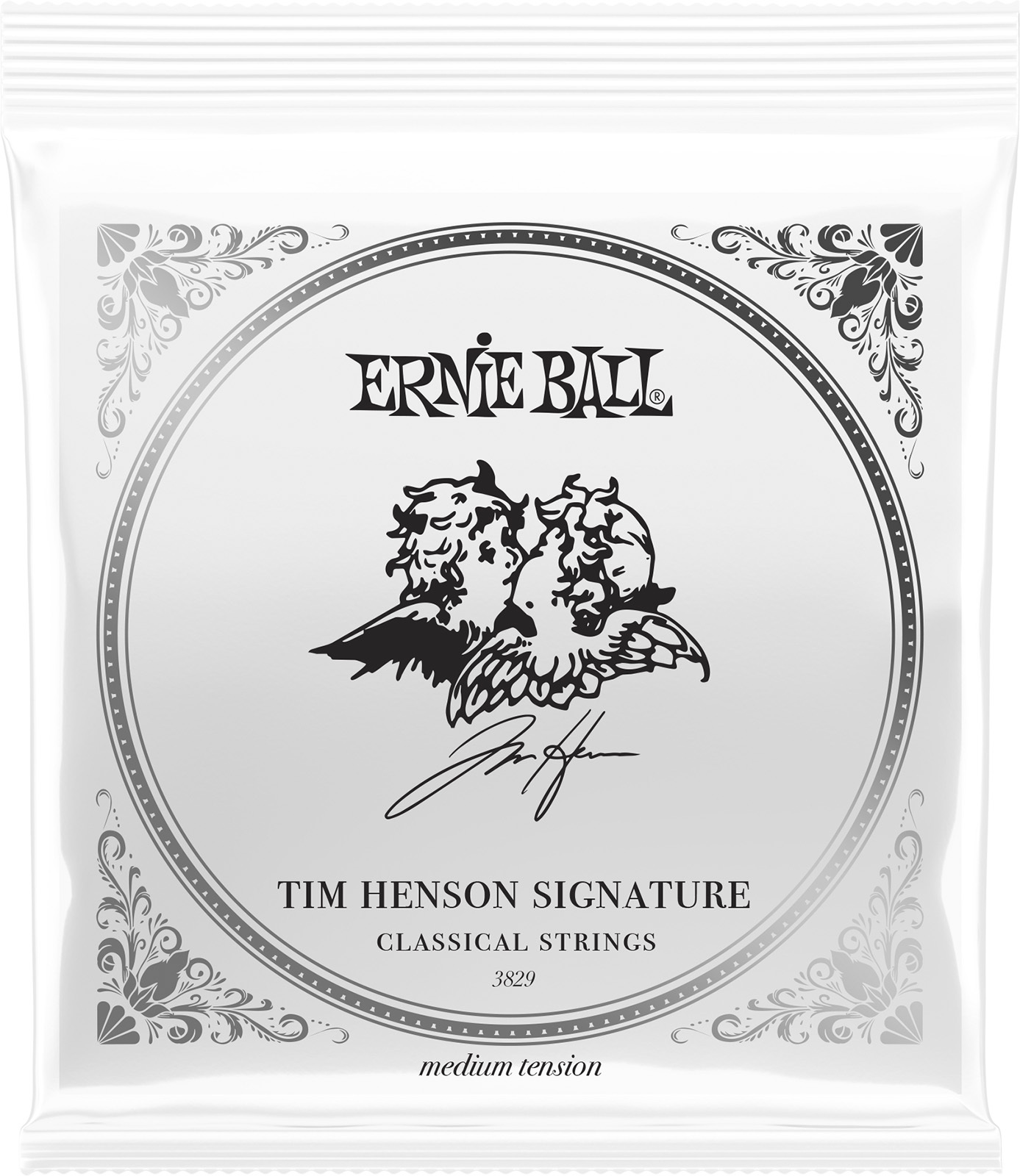 Ernie Ball Cordes Classique Signature Tim Henson - Tension Medium - Cordes Guitare Électrique - Main picture