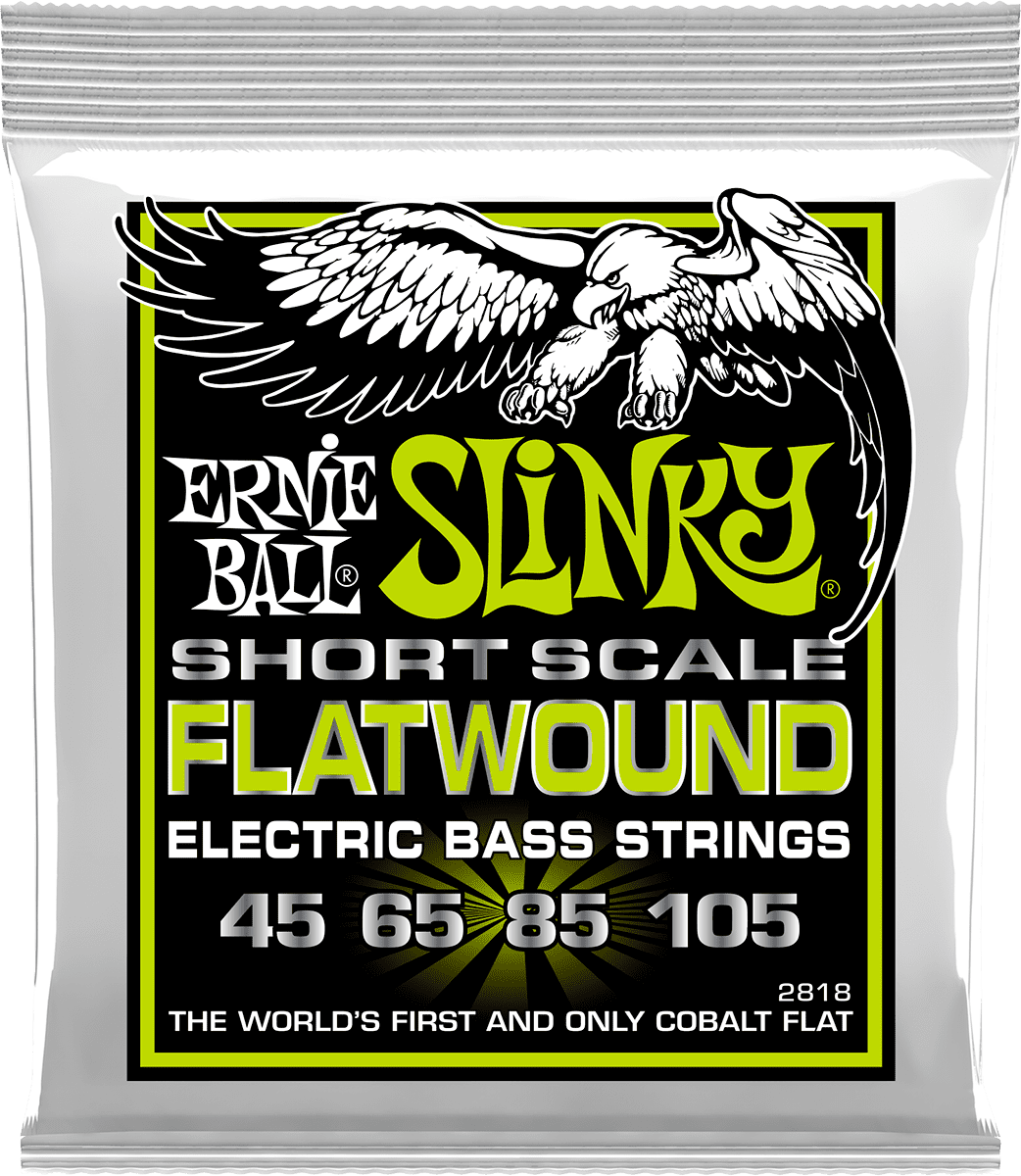 Ernie Ball Regular Slinky Flatwound Short Scale 45-105 - Cordes Basse Électrique - Main picture