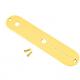 Telecaster Control Plates - Gold