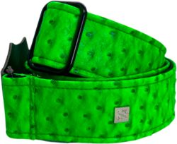 Ostrich Neon Green