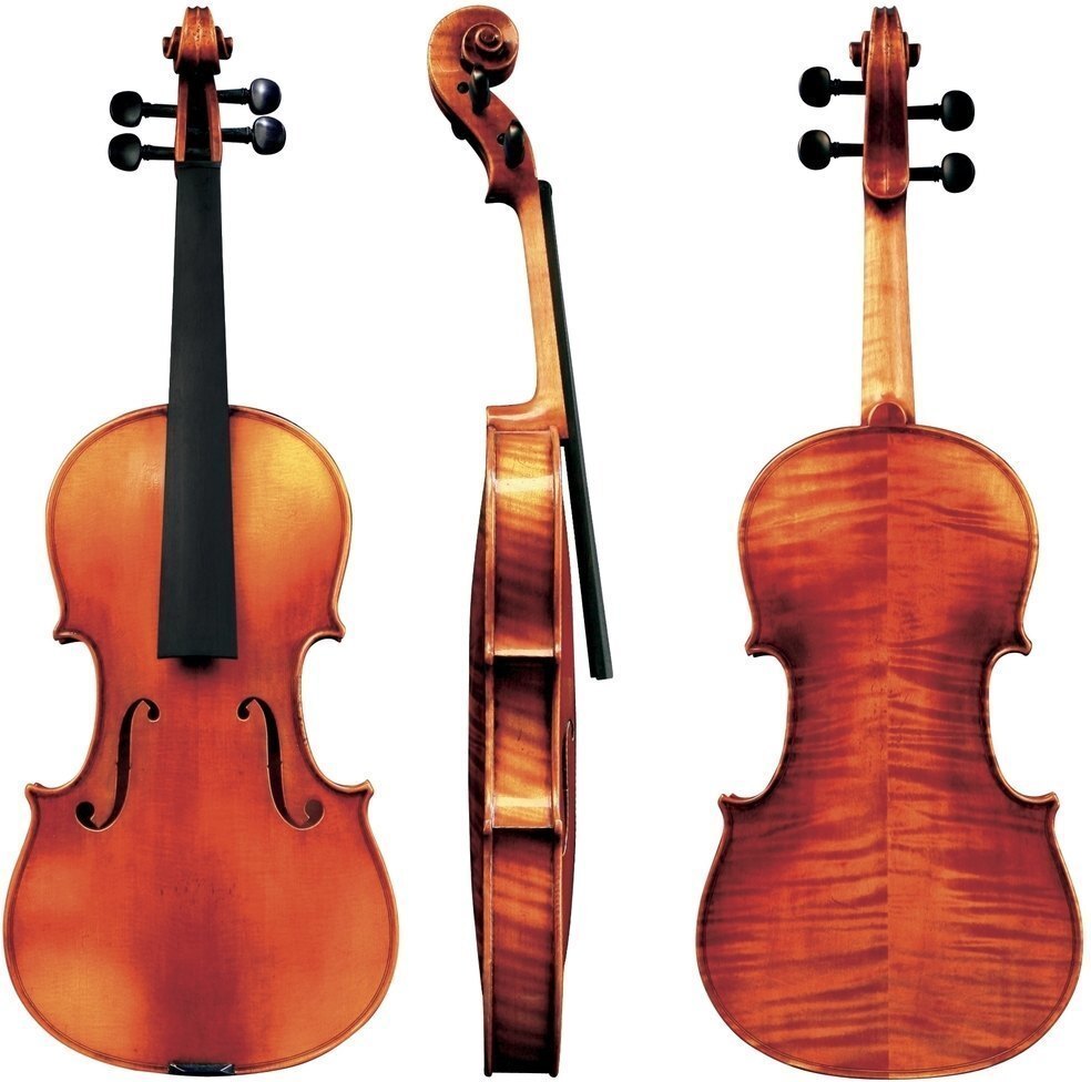 Gewa Maestro 6 4/4 - Violon Acoustique - Main picture