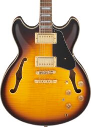 Guitare électrique 1/2 caisse Ibanez John Scofield JSM10EM TTB - Two-tone burst