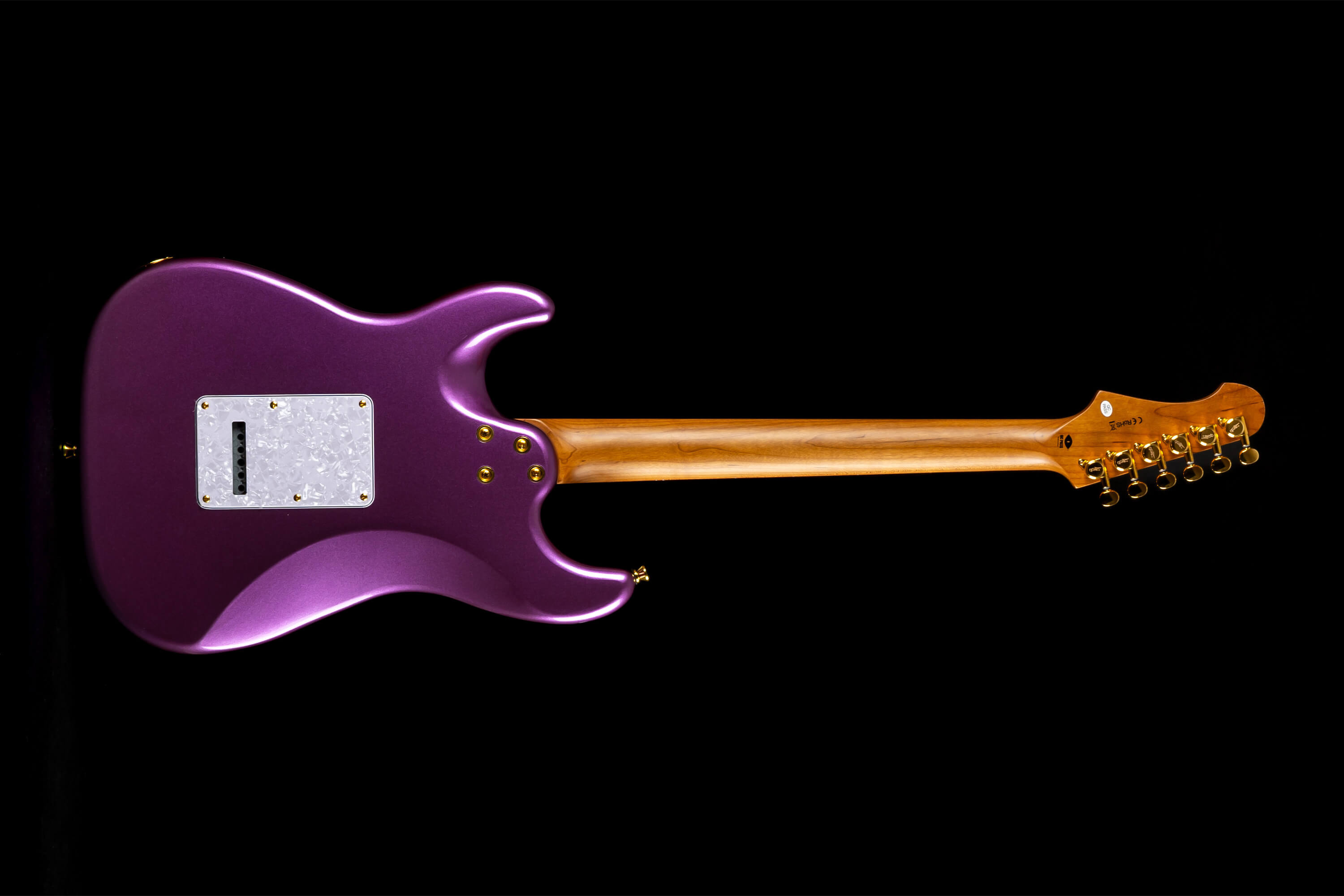 Jet Guitars Js480 Vi G Hss Trem Rw - Violet - Guitare Électrique Forme Str - Variation 1