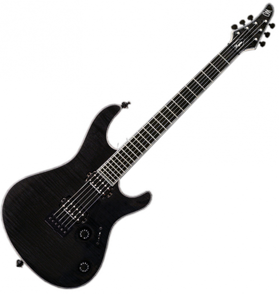 Mayones guitars Regius 6 (Ash, Seymour Duncan) - trans black Solid body ...