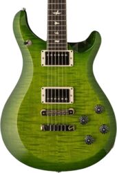 10th Anniversary S2 McCarty 594 Ltd (USA) - Eriza Verde