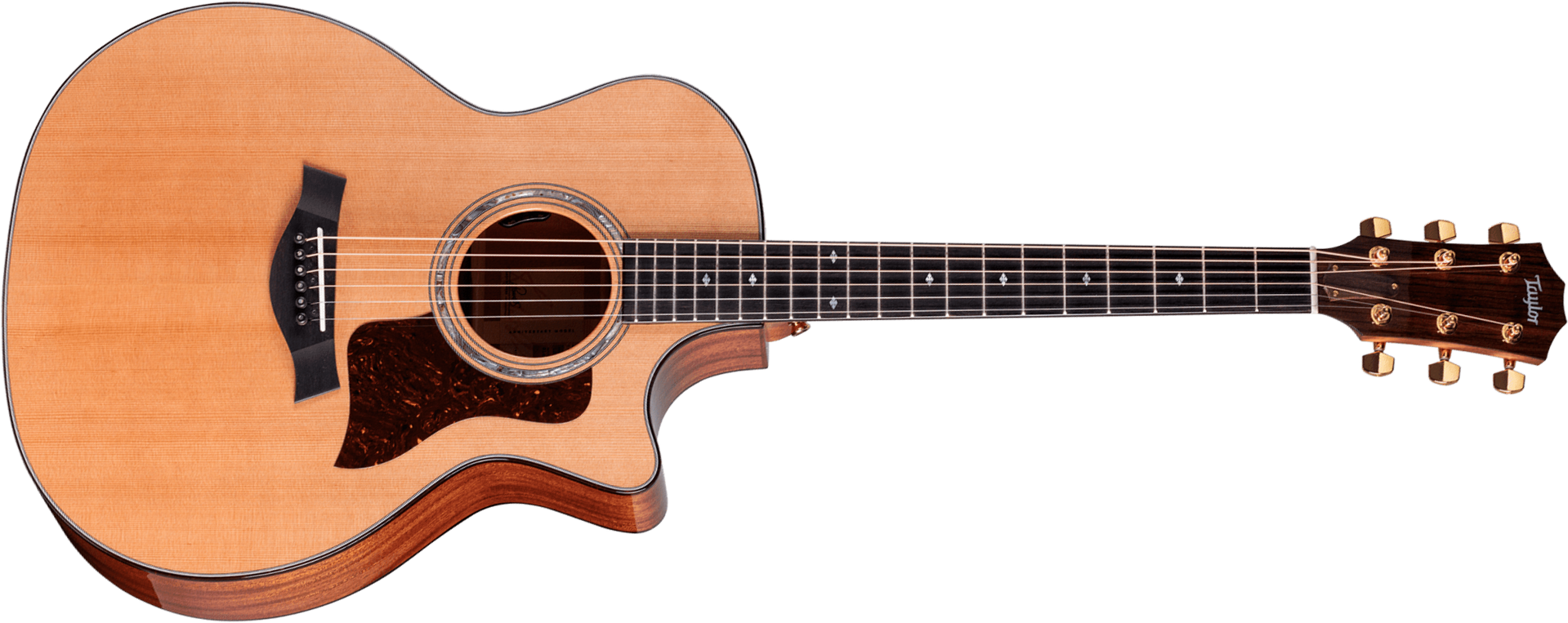 Taylor 514ce Legacy Grand Auditorium Cw Cedre Acajou Eb - Naturel - Guitare Electro Acoustique - Main picture