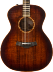 Guitare folk Taylor Custom GA-e V-Class - blackwood