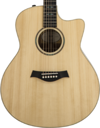 Guitare folk Taylor Custom GO-ce Ltd #1111219112 - natural