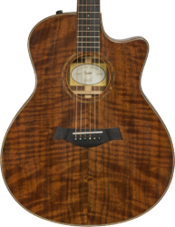 Guitare folk Taylor Custom GS-e #B9675 - natural