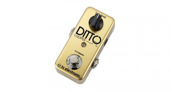 本物保証】-TC Electronic / Limited Edition Ditto Looper Gold ：イシバシ楽器 •17Shops -  dmmarket.fr